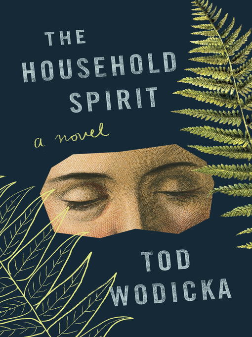 Title details for The Household Spirit by Tod Wodicka - Available